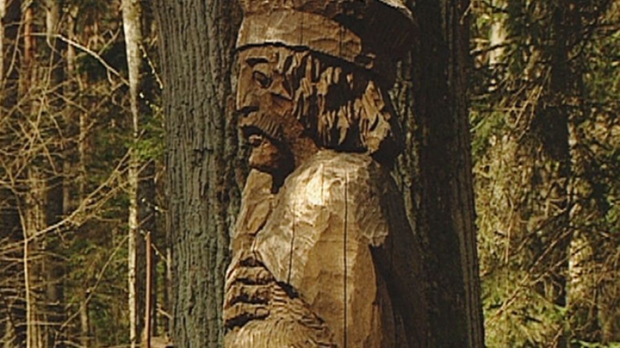 2013Bołtowicz